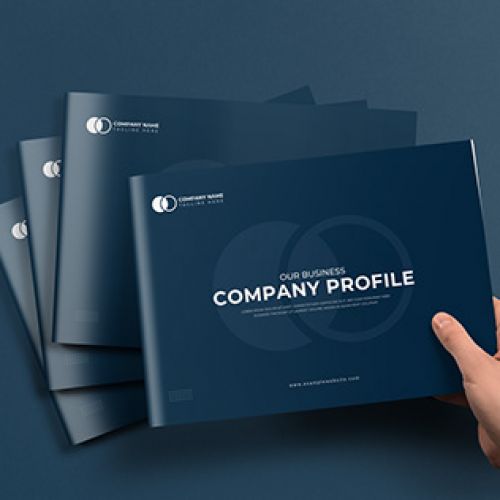 Hồ sơ năng lực